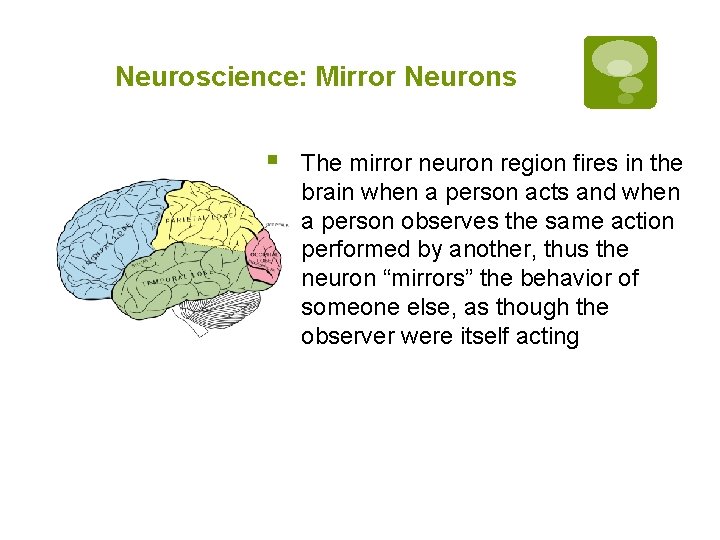 Neuroscience: Mirror Neurons § The mirror neuron region fires in the brain when a