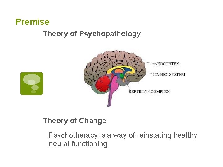 Premise Theory of Psychopathology Theory of Change Psychotherapy is a way of reinstating healthy