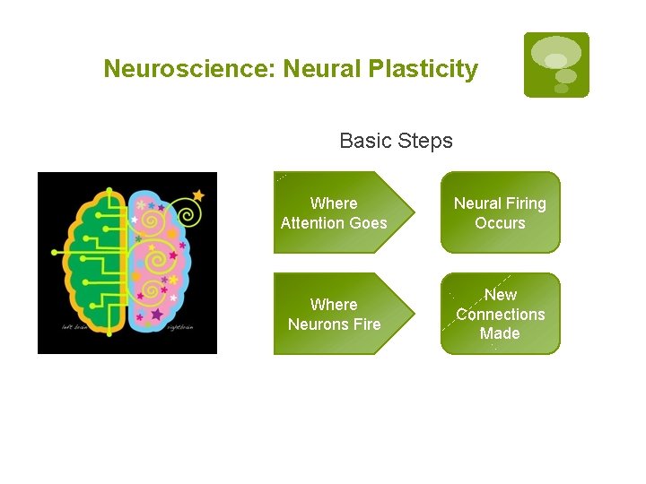 Neuroscience: Neural Plasticity Basic Steps Where Attention Goes Neural Firing Occurs Where Neurons Fire