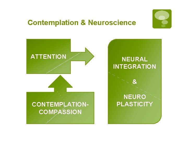 Contemplation & Neuroscience ATTENTION NEURAL INTEGRATION & CONTEMPLATIONCOMPASSION NEURO PLASTICITY 