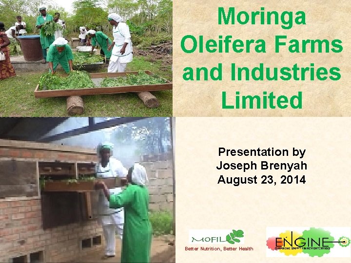 Moringa Oleifera Farms and Industries Limited Presentation by Joseph Brenyah August 23, 2014 Better