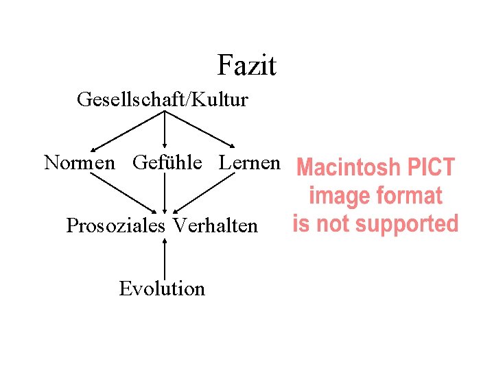 Fazit Gesellschaft/Kultur Normen Gefühle Lernen Prosoziales Verhalten Evolution 