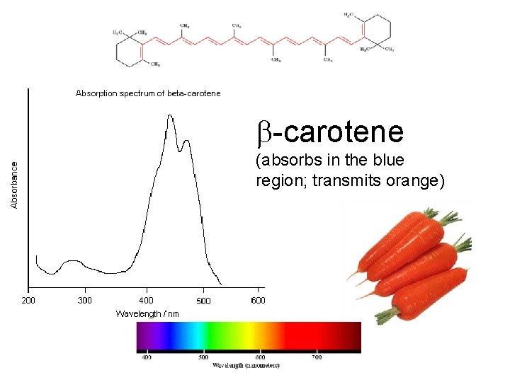  -carotene (absorbs in the blue region; transmits orange) 