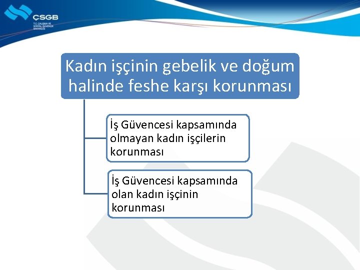 Kadın işçinin gebelik ve doğum halinde feshe karşı korunması İş Güvencesi kapsamında olmayan kadın