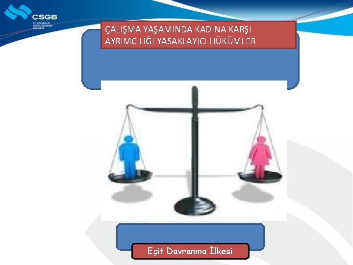 ÇALIŞMA YAŞAMINDA KADINA KARŞI AYRIMCILIĞI YASAKLAYICI HÜKÜMLER Eşit Davranma İlkesi 