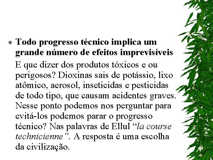  Todo progresso técnico implica um grande número de efeitos imprevisíveis E que dizer