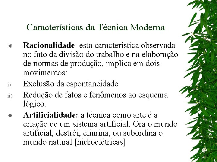 Características da Técnica Moderna i) ii) Racionalidade: esta característica observada no fato da divisão