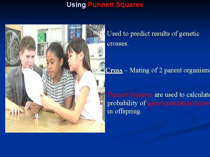 Using Punnett Squares Used to predict results of genetic crosses. Cross – Mating of