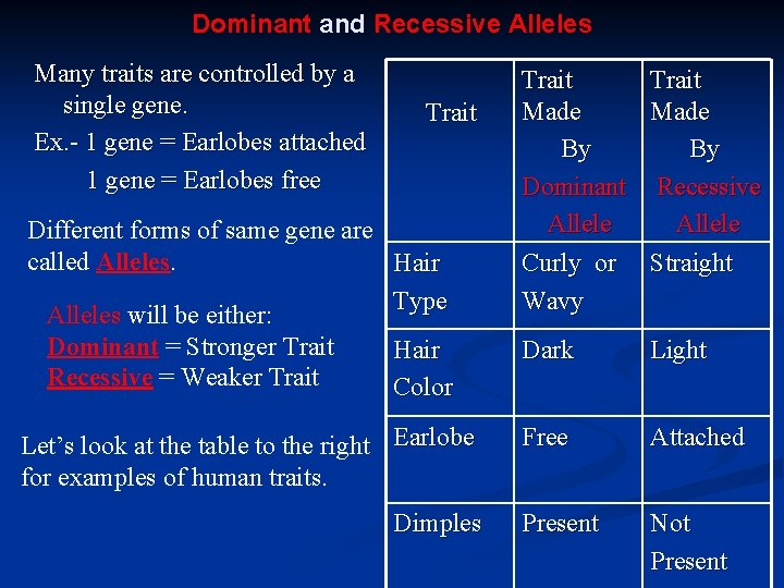 Dominant and Recessive Alleles Many traits are controlled by a single gene. Ex. -