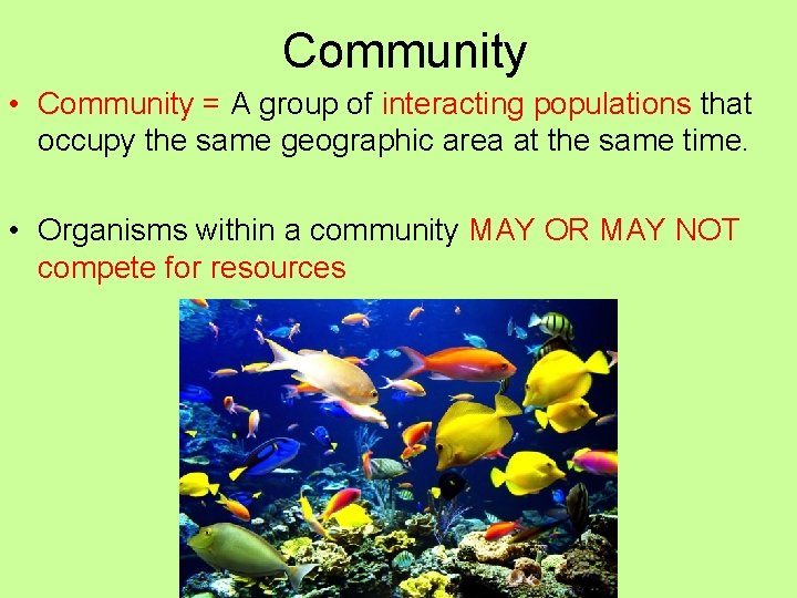 Community • Community = A group of interacting populations that occupy the same geographic