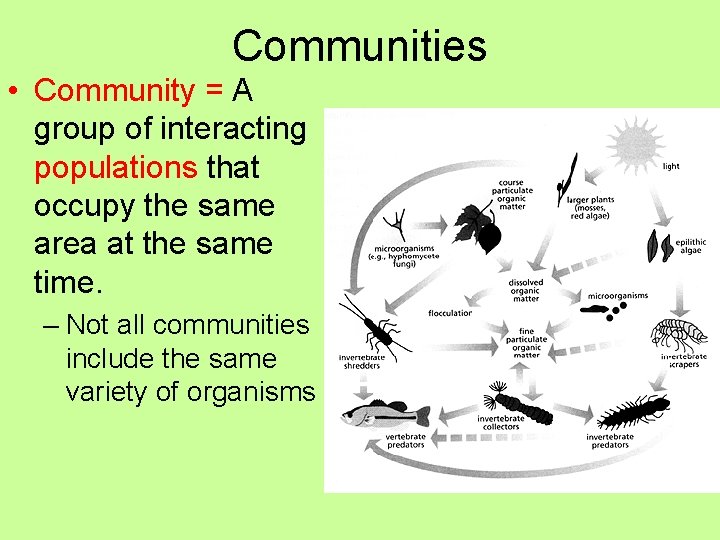 Communities • Community = A group of interacting populations that occupy the same area