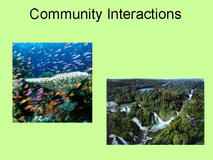 Community Interactions 
