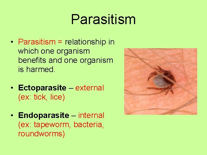 Parasitism • Parasitism = relationship in which one organism benefits and one organism is