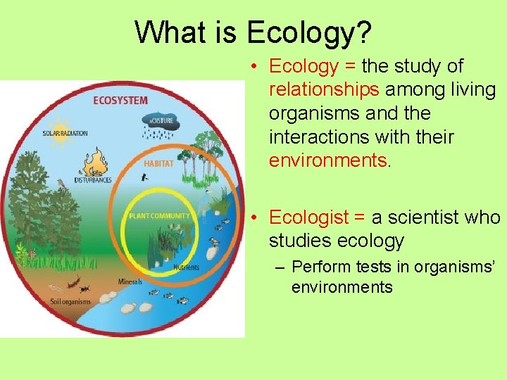 What is Ecology? • Ecology = the study of relationships among living organisms and