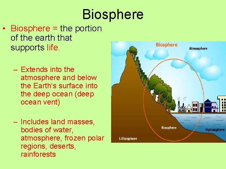 Biosphere • Biosphere = the portion of the earth that supports life. – Extends