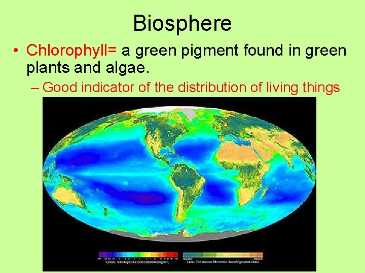Biosphere • Chlorophyll= a green pigment found in green plants and algae. – Good