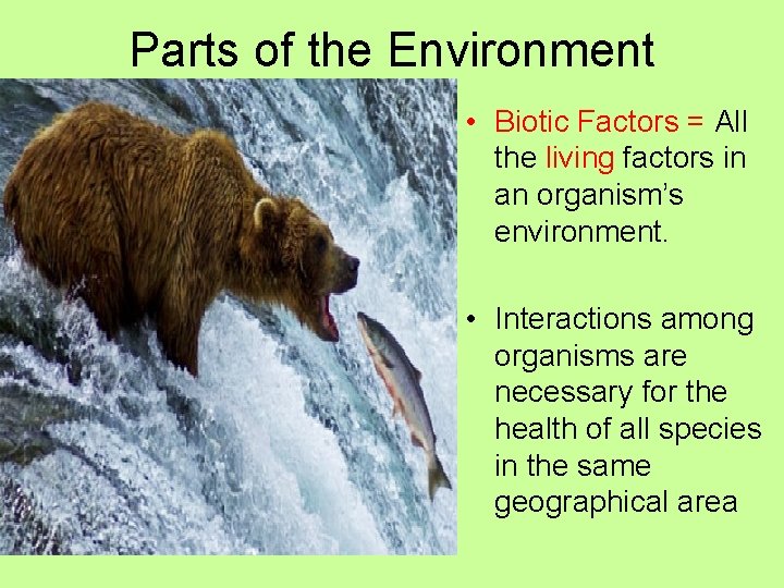 Parts of the Environment • Biotic Factors = All the living factors in an