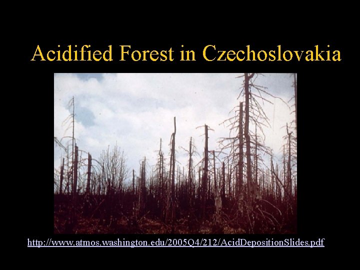 Acidified Forest in Czechoslovakia http: //www. atmos. washington. edu/2005 Q 4/212/Acid. Deposition. Slides. pdf