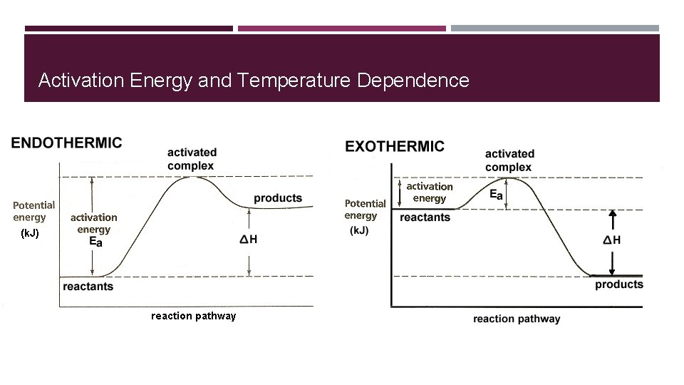 Activation Energy and Temperature Dependence 