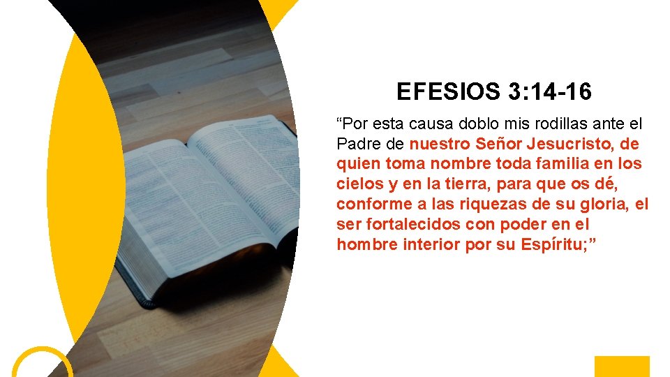 EFESIOS 3: 14 -16 “Por esta causa doblo mis rodillas ante el Padre de