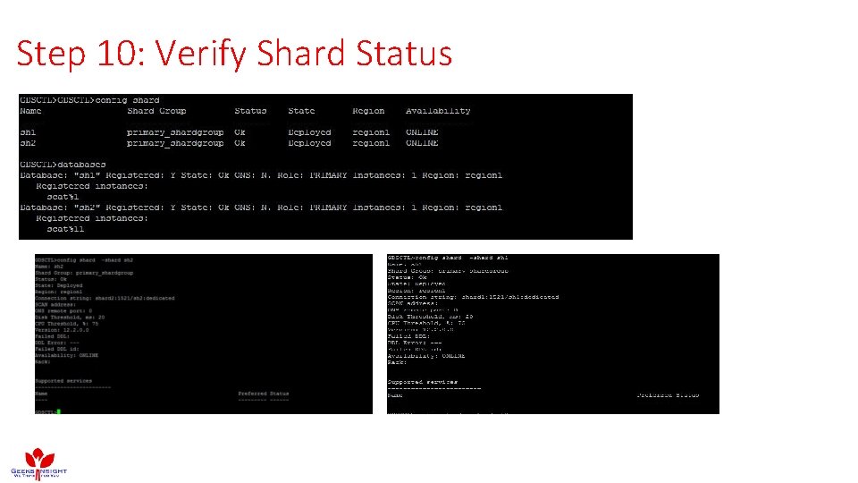 Step 10: Verify Shard Status Step 10: Verify Shard Status