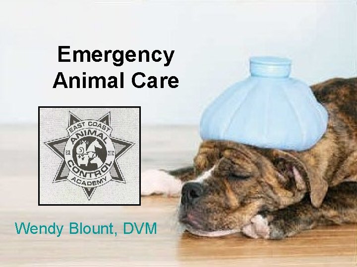 Emergency Animal Care Wendy Blount, DVM 
