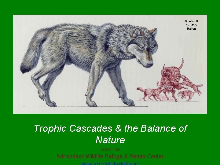 Dire Wolf by Mark Hallett Trophic Cascades & the Balance of Nature Steve Hall