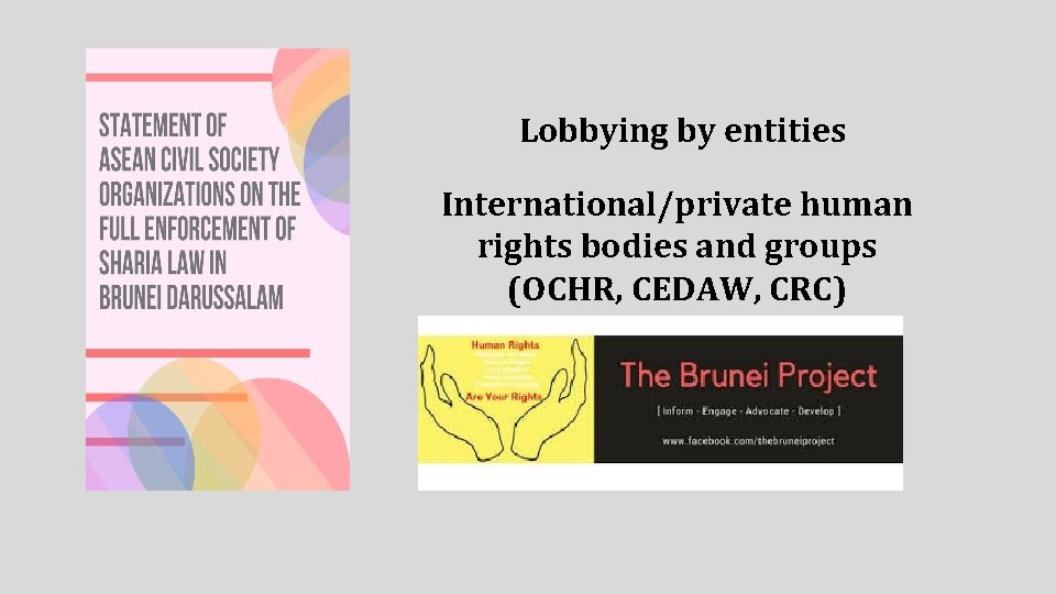 Lobbying by entities International/private human rights bodies and groups (OCHR, CEDAW, CRC) 