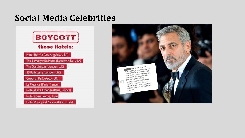 Social Media Celebrities 