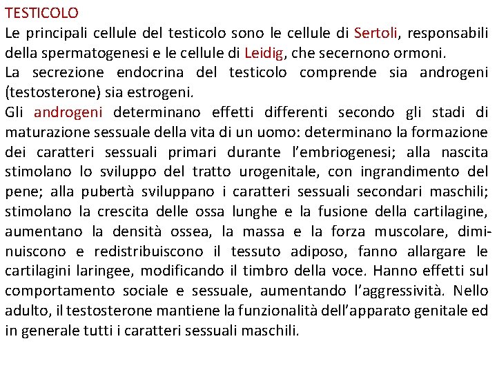 TESTICOLO Le principali cellule del testicolo sono le cellule di Sertoli, responsabili della spermatogenesi