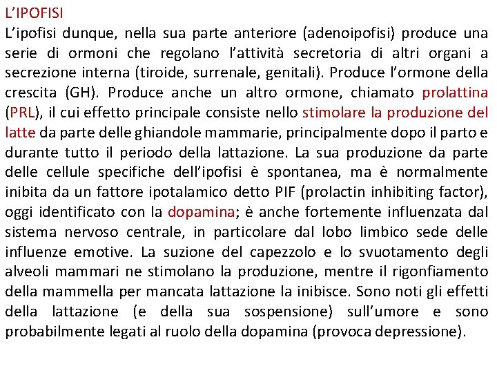 L’IPOFISI L’ipofisi dunque, nella sua parte anteriore (adenoipofisi) produce una serie di ormoni che