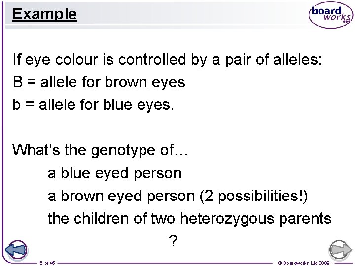 Example If eye colour is controlled by a pair of alleles: B = allele