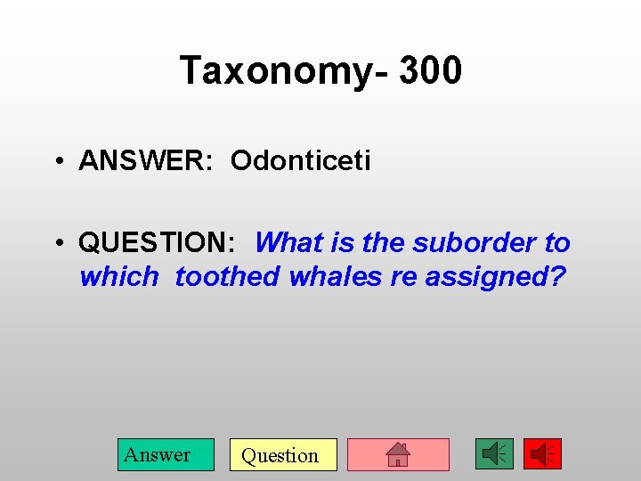 Taxonomy- 300 • ANSWER: Odonticeti • QUESTION: What is the suborder to which toothed