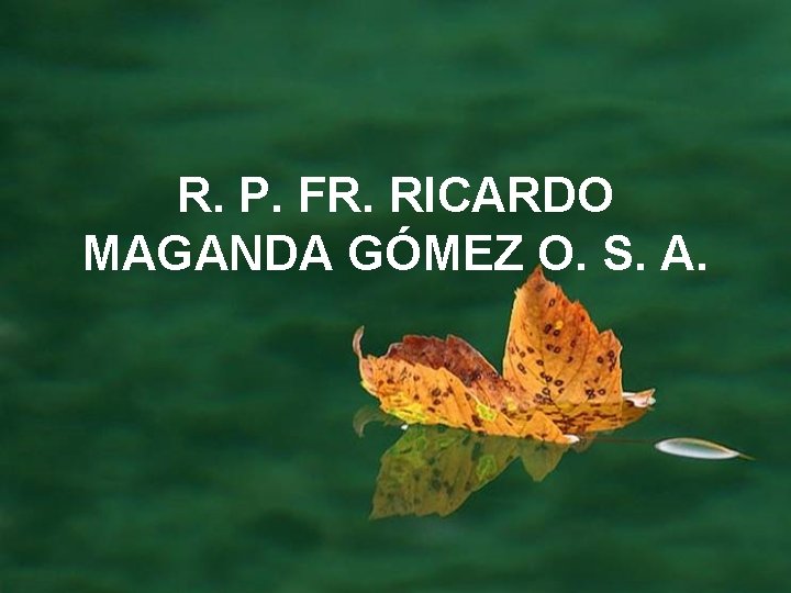 R. P. FR. RICARDO MAGANDA GÓMEZ O. S. A. 