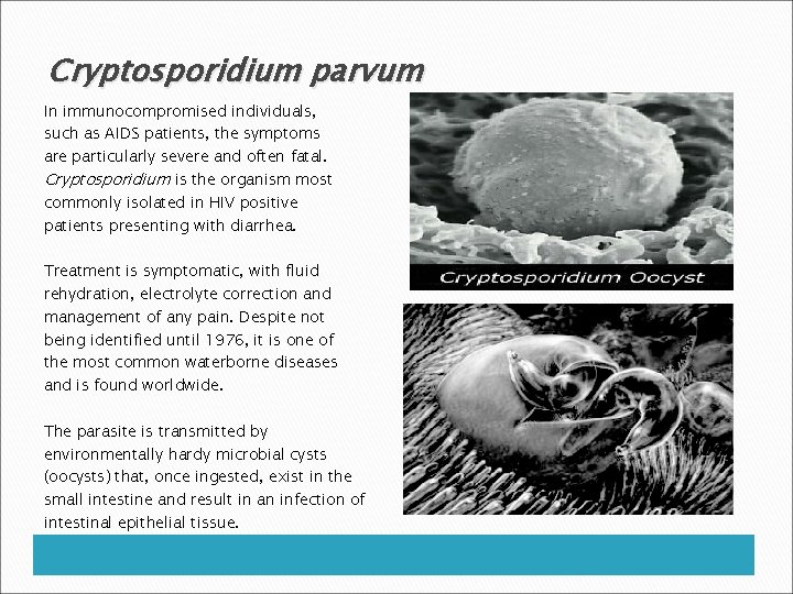 Cryptosporidium parvum In immunocompromised individuals, such as AIDS patients, the symptoms are particularly severe