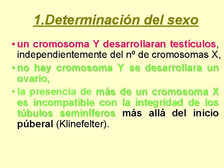 1. Determinación del sexo • un cromosoma Y desarrollaran testículos, testículos independientemente del nº