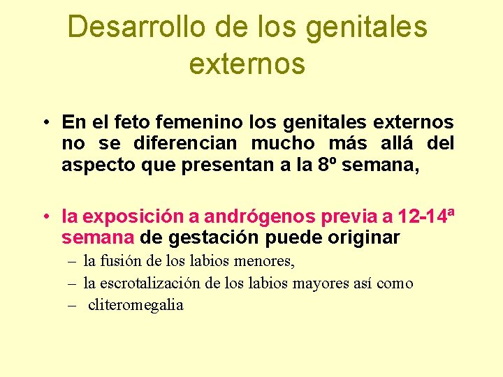 Desarrollo de los genitales externos • En el feto femenino los genitales externos no