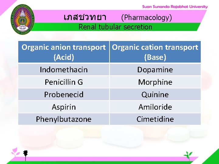 เภสชวทยา (Pharmacology) Renal tubular secretion Organic anion transport Organic cation transport (Acid) (Base) Indomethacin