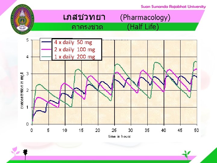 เภสชวทยา คาครงชวต 4 x daily 50 mg 2 x daily 100 mg 1 x