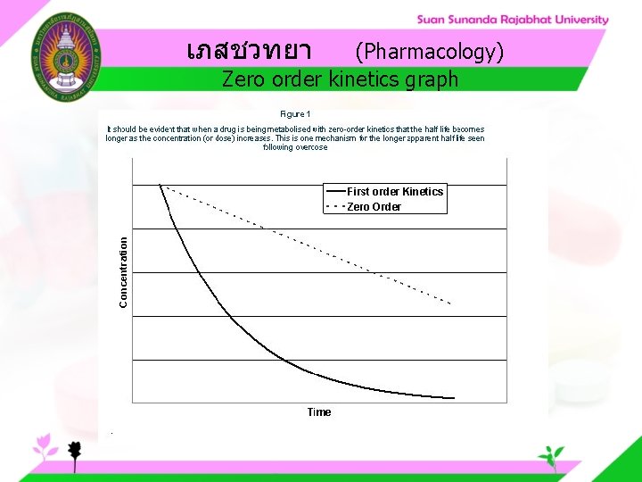 เภสชวทยา (Pharmacology) Zero order kinetics graph 