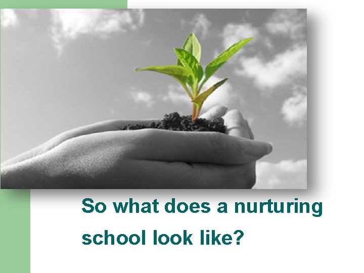 So what does a nurturing school look like? So what does a nurturing school look like?