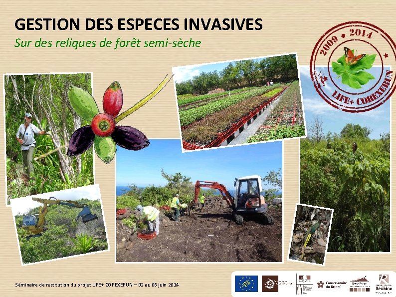 GESTION DES ESPECES INVASIVES Sur des reliques de forêt semi-sèche Séminaire de restitution du GESTION DES ESPECES INVASIVES Sur des reliques de forêt semi-sèche Séminaire de restitution du