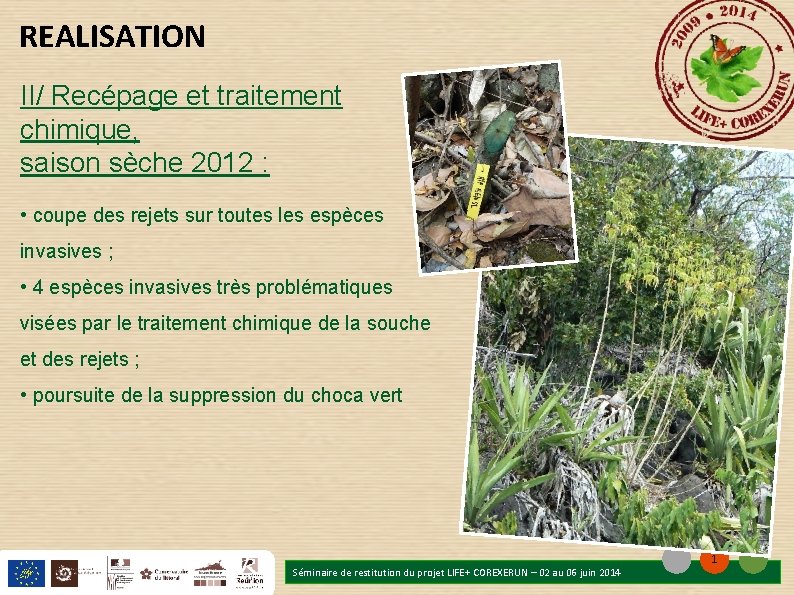 REALISATION II/ Recépage et traitement chimique, saison sèche 2012 : • coupe des rejets REALISATION II/ Recépage et traitement chimique, saison sèche 2012 : • coupe des rejets