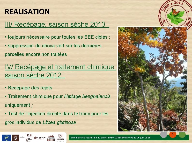 REALISATION III/ Recépage, saison sèche 2013 : • toujours nécessaire pour toutes les EEE REALISATION III/ Recépage, saison sèche 2013 : • toujours nécessaire pour toutes les EEE
