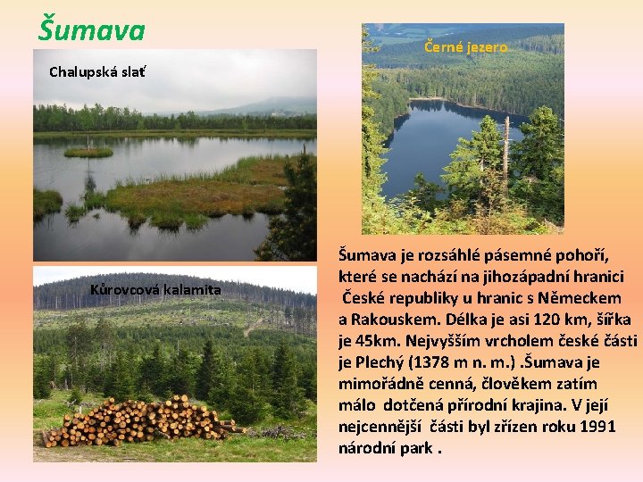 Šumava Černé jezero Chalupská slať Kůrovcová kalamita Šumava je rozsáhlé pásemné pohoří, které se