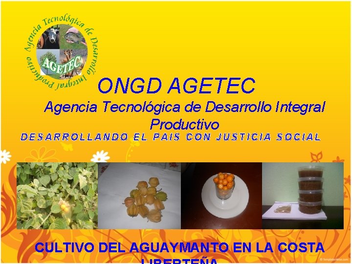 ONGD AGETEC Agencia Tecnológica de Desarrollo Integral Productivo DESARROLLANDO EL PAIS CON JUSTICIA SOCIAL