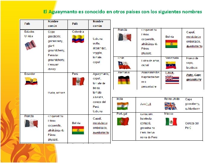 El Aguaymanto es conocido en otros países con los siguientes nombres 