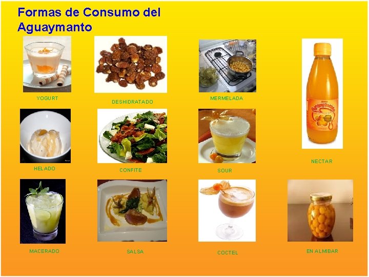 Formas de Consumo del Aguaymanto YOGURT DESHIDRATADO MERMELADA NECTAR HELADO MACERADO CONFITE SALSA SOUR