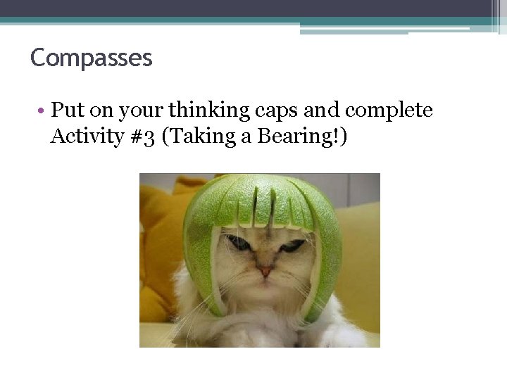 Compasses • Put on your thinking caps and complete Activity #3 (Taking a Bearing!)