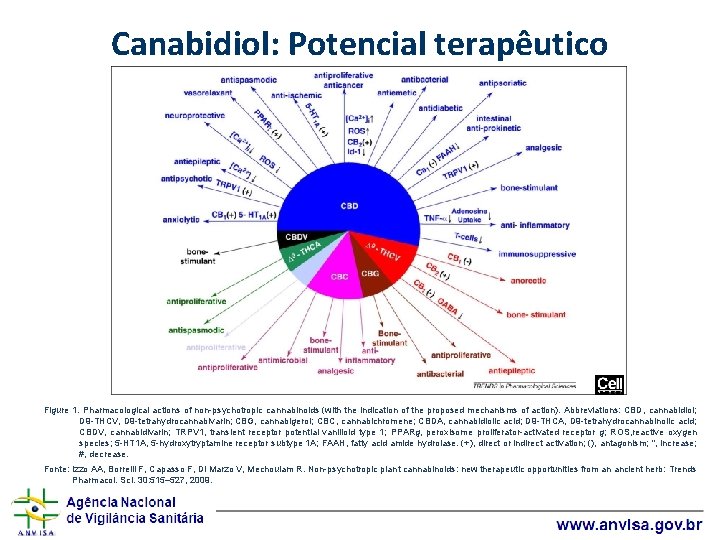 Canabidiol: Potencial terapêutico Figure 1. Pharmacological actions of non-psychotropic cannabinoids (with the indication of